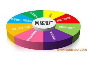 北京大兴免费网络推广软件 哪家好？生产厂家、价格与技术解析